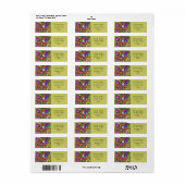 Regenbogen des Orchids-Etiketts (Vorne)