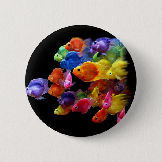 Regenbogen des Papageienfisches Button (Vorderseite)