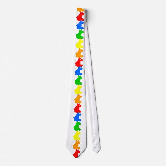 Regenbogen des Skate Krawatte (Vorderseite)