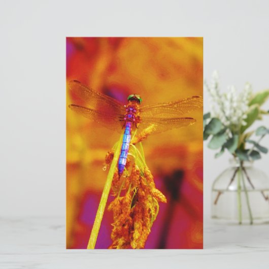 Regenbogen-Dragonfly auf Bernstein und Fuschia Briefpapier (Stehend Vorderseite)