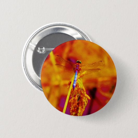 Regenbogen-Dragonfly auf Bernstein und Fuschia Button (Vorne & Hinten)