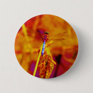 Regenbogen-Dragonfly auf Bernstein und Fuschia Button