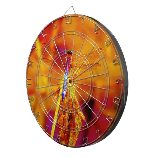 Regenbogen-Dragonfly auf Bernstein und Fuschia Dartscheibe (Vorderseite rechts)