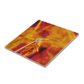 Regenbogen-Dragonfly auf Bernstein und Fuschia Fliese (Seite)