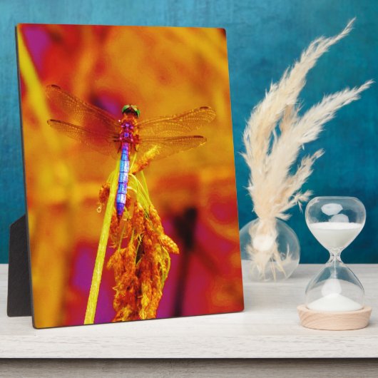 Regenbogen-Dragonfly auf Bernstein und Fuschia Fotoplatte (Seite)