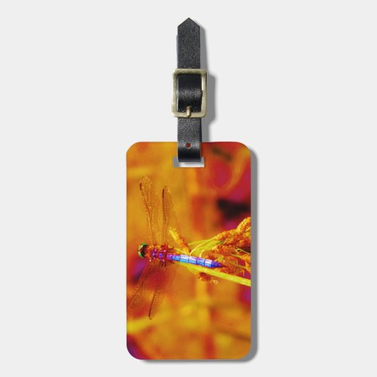 Regenbogen-Dragonfly auf Bernstein und Fuschia Gepäckanhänger (Vorderseite vertikal)