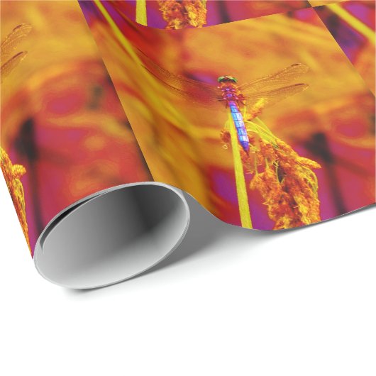 Regenbogen-Dragonfly auf Bernstein und Fuschia Geschenkpapier (Rolleneckpunkt)