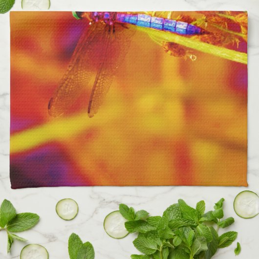 Regenbogen-Dragonfly auf Bernstein und Fuschia Geschirrtuch (Gefaltet)