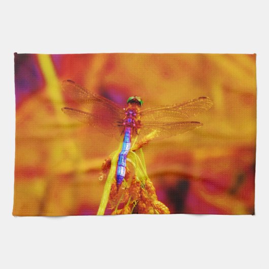 Regenbogen-Dragonfly auf Bernstein und Fuschia Geschirrtuch (Horizontal)