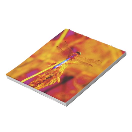 Regenbogen-Dragonfly auf Bernstein und Fuschia Notizblock (Rotiert)
