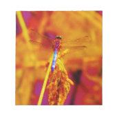 Regenbogen-Dragonfly auf Bernstein und Fuschia Notizblock (Vorderseite)