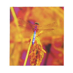 Regenbogen-Dragonfly auf Bernstein und Fuschia Notizblock