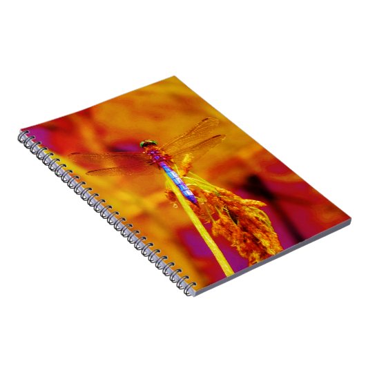 Regenbogen-Dragonfly auf Bernstein und Fuschia Notizblock (Rechte Seite)