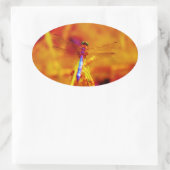 Regenbogen-Dragonfly auf Bernstein und Fuschia Ovaler Aufkleber (Tasche)