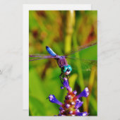 Regenbogen-Dragonfly und Blume Briefpapier (Vorne/Hinten)