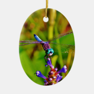 Regenbogen-Dragonfly und Blume Keramik Ornament