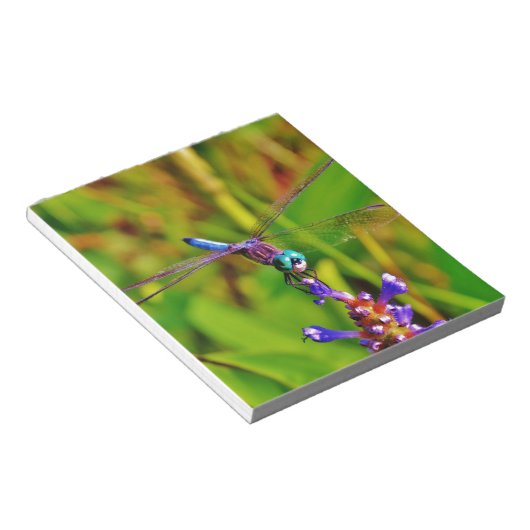 Regenbogen-Dragonfly und Blume Notizblock (angewinkelt)