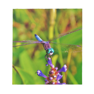 Regenbogen-Dragonfly und Blume Notizblock