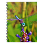 Regenbogen-Dragonfly und Blume Notizblock (Vorderseite)