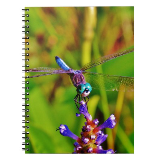 Regenbogen-Dragonfly und Blume Notizblock (Vorderseite)