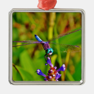 Regenbogen-Dragonfly und Blume Ornament Aus Metall