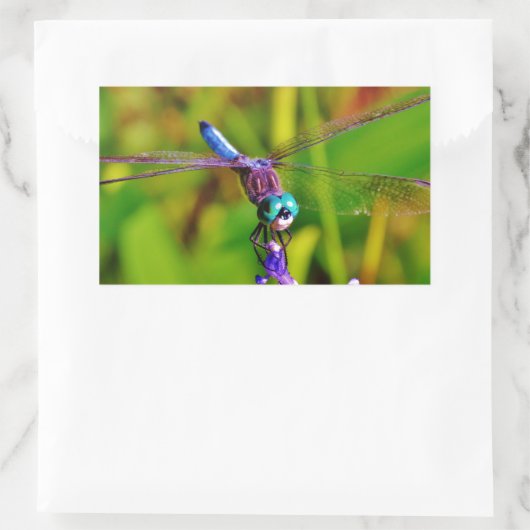 Regenbogen-Dragonfly und Blume Rechteckiger Aufkleber (Tasche)