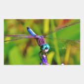 Regenbogen-Dragonfly und Blume Rechteckiger Aufkleber (Vorderseite)
