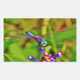 Regenbogen-Dragonfly und Blume Rechteckiger Aufkleber