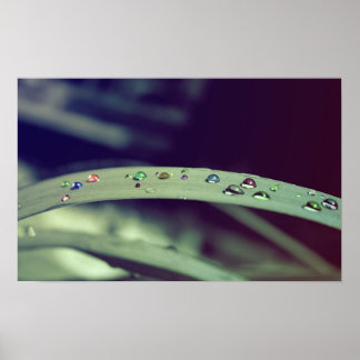 Regenbogen Drops Poster / Gerahmte Printwerbung