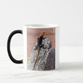 Regenbogen-Eidechsen-verwandelnde Tasse (Links)