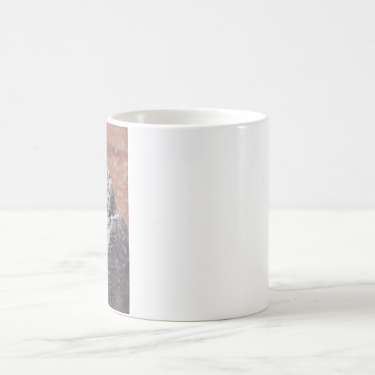 Regenbogen-Eidechsen-verwandelnde Tasse (Mittel)