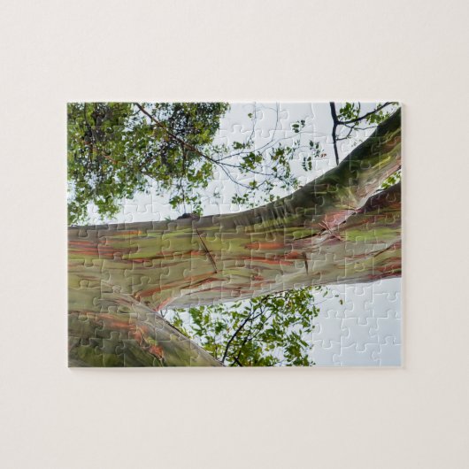 Regenbogen-Eukalyptus-Bäume, Maui, Hawaii, USA Puzzle (Horizontal)