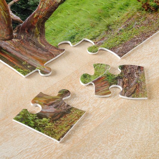 Regenbogen-Eukalyptus-Bäume, Maui, Hawaii, USA Puzzle (Seite)