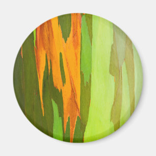 Regenbogen-Eukalyptus-Rinde, Hawaii Magnet