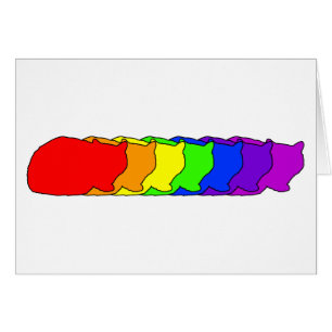 Regenbogen exotisch