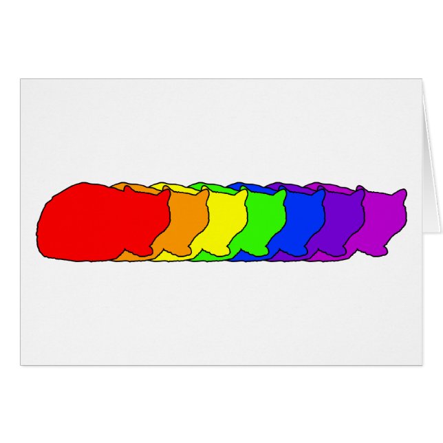 Regenbogen exotisch (Vorderseite (Horizontal))