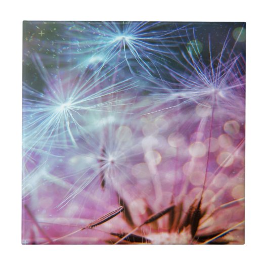 Regenbogen farbiges Löwenzahn-Hauch-Schwimmen Fliese (Vorderseite)