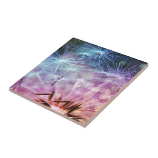 Regenbogen farbiges Löwenzahn-Hauch-Schwimmen Fliese (Seite)