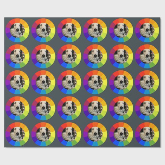Regenbogen-Farbkreis Geschenkpapier (Flach)