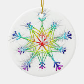 Regenbogen Frost 3 Ornament (Vorne)