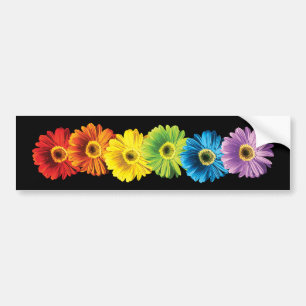 Regenbogen-Gänseblümchen Autoaufkleber