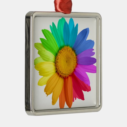 Regenbogen-Gänseblümchen Silbernes Ornament (Rechts)