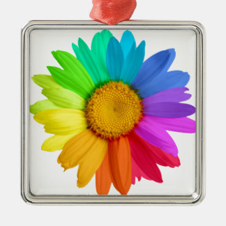 Regenbogen-Gänseblümchen Silbernes Ornament