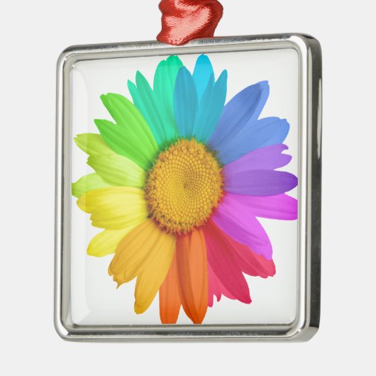 Regenbogen-Gänseblümchen Silbernes Ornament (Links)