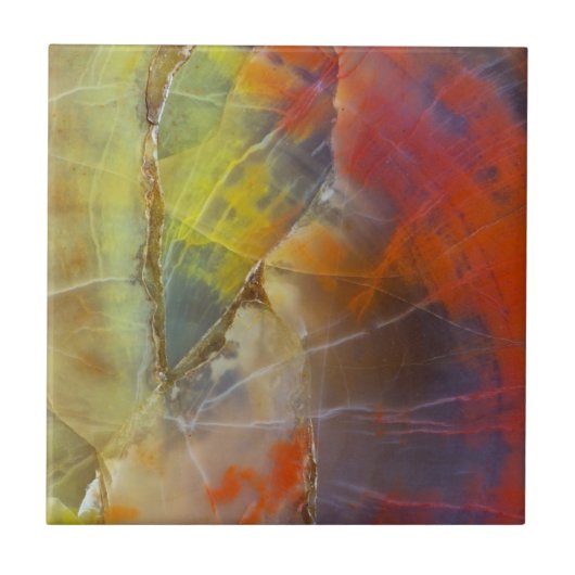 Regenbogen-gefärbtes versteinertes Holz Fliese (Vorderseite)