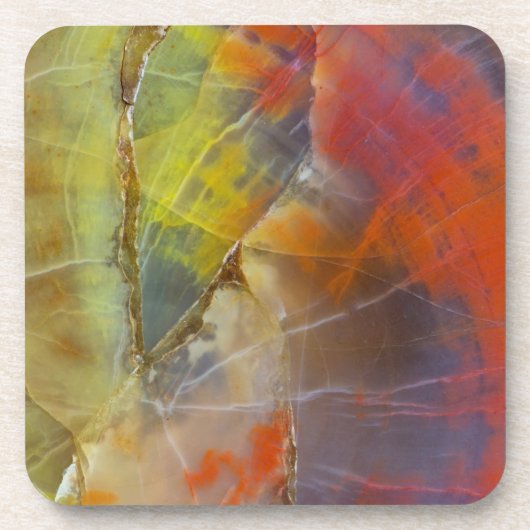 Regenbogen-gefärbtes versteinertes Holz Getränkeuntersetzer (Vorderseite)
