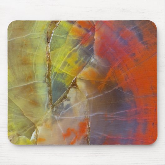 Regenbogen-gefärbtes versteinertes Holz Mousepad (Vorne)