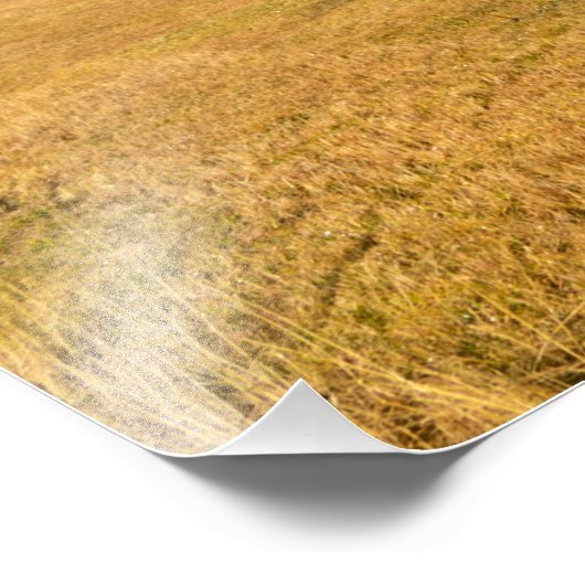 Regenbogen gegen stürmischen Himmel Fotodruck (Ecke)