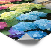Regenbogen-Hortensien-Gartenweg Poster (Ecke)
