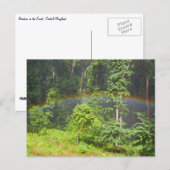 Regenbogen im Wald Postkarte (Vorne/Hinten)